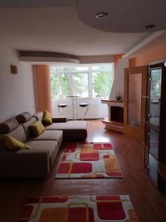 CENTRAL APARTAMENT - Predeal - 6
