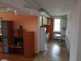 CENTRAL APARTAMENT - Predeal - 5