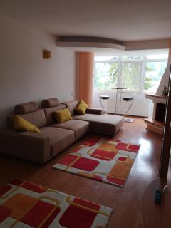 CENTRAL APARTAMENT - Predeal - 3