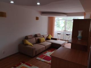 CENTRAL APARTAMENT - Predeal - 2