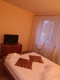 CENTRAL APARTAMENT - Predeal - 1