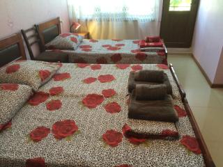 Alex's Cosy Guesthouse - Tbilisi - 8