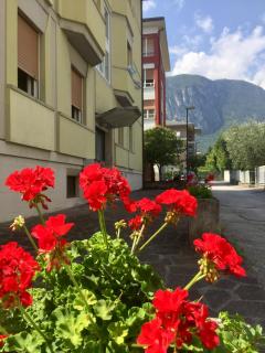 appartamento benaco - Riva del Garda - 8