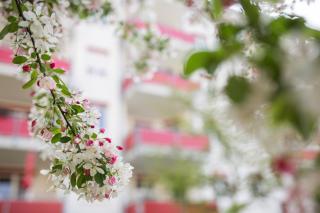 Freiburg-Desing-Apartment 1 - 7