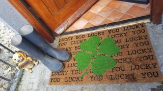 Gormanstown House Apt, The Island - 5