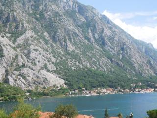 Villa Aronija - Kotor - 0