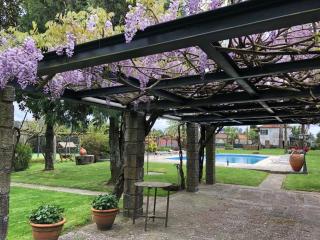 Quinta de Maderne - Felgueiras - 8