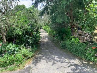 杉林松境休閒農場 - 7