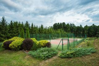 Siedlisko Dzika Kaczka - 2