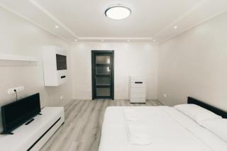 Rika apartments - Chernivtsi - 7