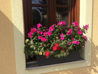 Apartments Petra - Slunj - 9