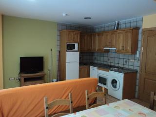 Apartamentos Solans - Bielsa - 1