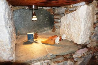 Next to the Bougainvillea! - 6