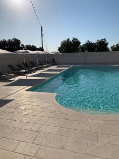 Le Terrazze Miramare B&B - Torre Canne - 4