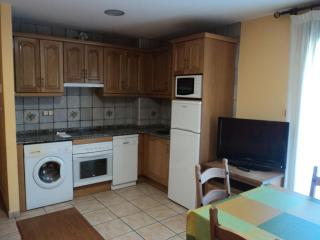 Apartamentos Solans - Bielsa - 9