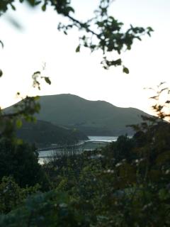 Hereweka Garden Retreat - Dunedin - 4