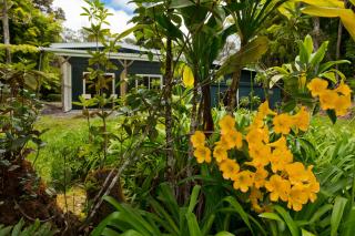 Hale 'Ohu Bed & Breakfast - Volcano - 5