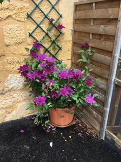 Entre Lot et Dordogne - Saint-Cirq-Madelon - 8