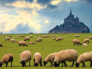 Studio Les Pieds dans l'eau - 2