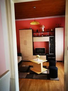 Apartman Luka - Soko Banja - 0