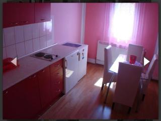 Apartman Luka - Soko Banja - 9