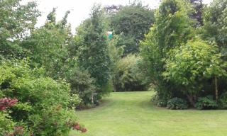 Beech House - 8