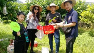 Green Ozland B&B - Dongshan - 4