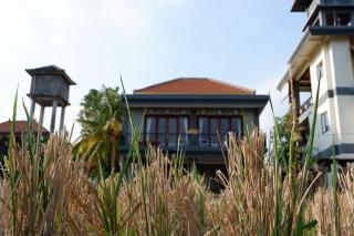 Three Dewi's Guest House - Ubud - 6