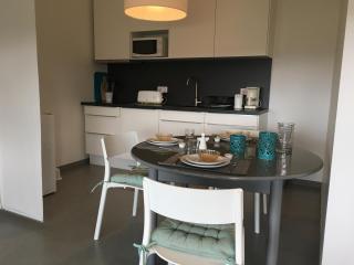 Gite-Grand studio contemporain proche Toulouse dans domaine Equestre - 4