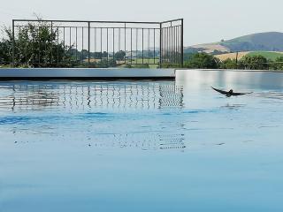 Domaine Abartiague - Ossès - 2