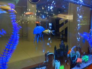 Hotel Cadi Palace - 4