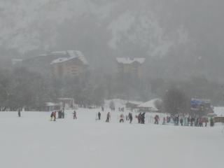 Bosque Nevado - Nevados de Chillan - 7