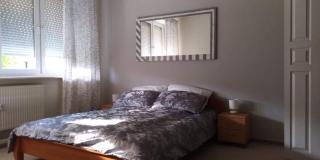 Apartment Leśniczówka - Radom - 1