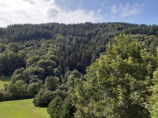 Ferienhaus Auszeit - Seebach - 7