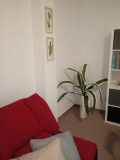 APARTAMENTO BEDIESTA - Santa Cruz de la Palma - 5