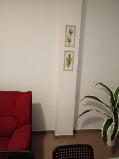 APARTAMENTO BEDIESTA - Santa Cruz de la Palma - 7