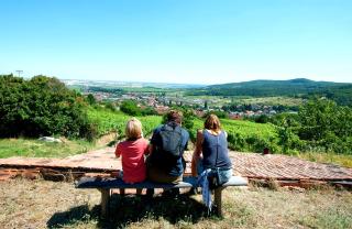 Villa Vinica - Limbach - 7