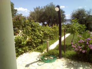 Apartman Ana-Zora - Posedarje (Possedaria) - 5
