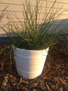 Domki Letniskowe "TROPIK" - 8