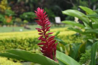 JJ's Retreat - Rarotonga - 2