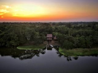 Yaku Amazon Lodge & Expeditions - 8