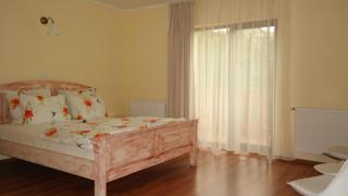Casa Mon Reve - Bran - 6