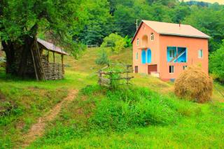 Guest House "Oasis" - 1