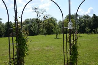 Le Manoir des Arômes - Brugny-Vaudancourt - 4