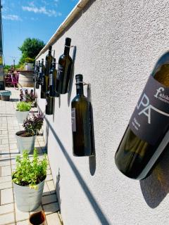 Penzion Vinařství Fabikovič - Velké Bílovice - 1