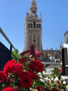 Cathedral Apartment, upper floor apartment - Sevilla - 6