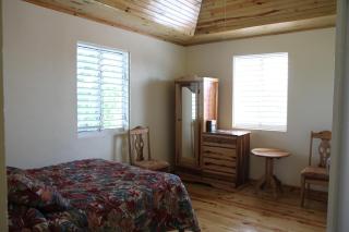 Finjam Cottage - Port Antonio - 3
