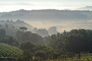 Tenuta delle Rose - Montaione - 5