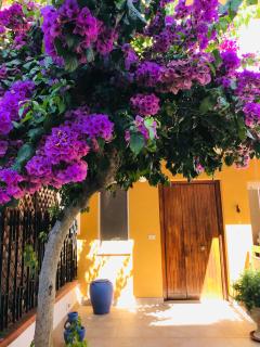 Le stanze di Botticelli - Termoli - 0