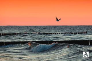 Hauptstrasse 14 DHH - Ostseebad Koserow - 1